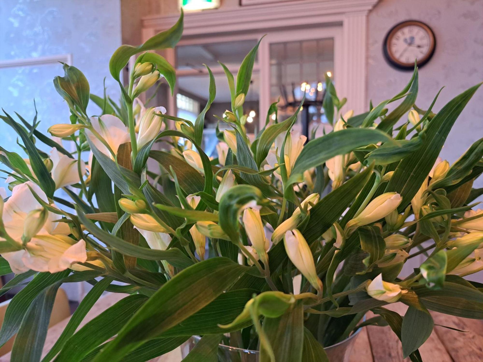 Hotel Restaurant Boven Groningen Delfzijl Εξωτερικό φωτογραφία